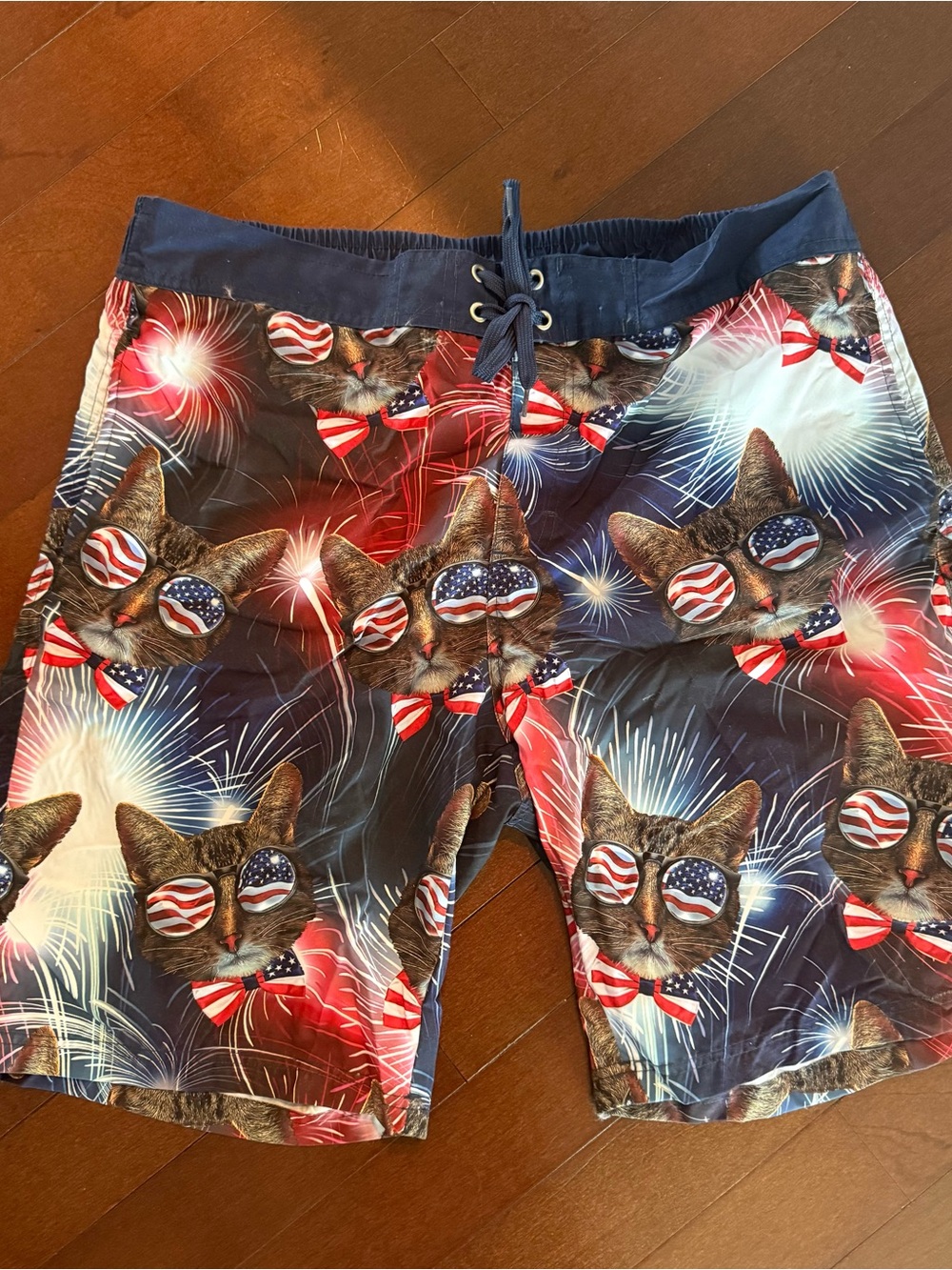 Patriotic Cat Print Men’s Swim Board Shorts - Blue & Red